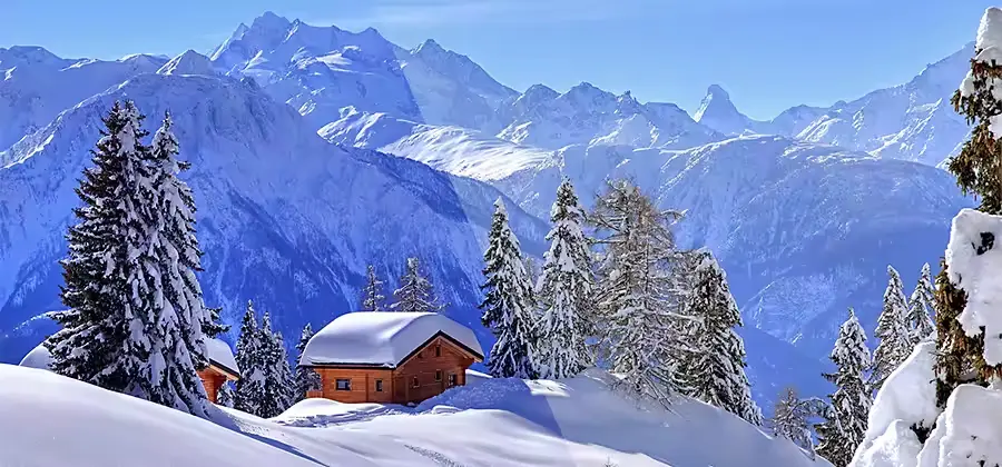 White Balance in Photography: Complete Guide for Accurate Colors